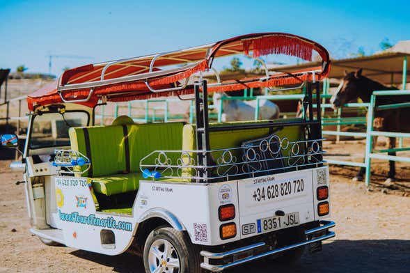 Tour en tuk tuk por Costa Adeje