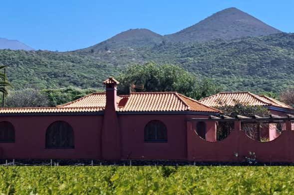 Tour do vinho pelo sul de Tenerife