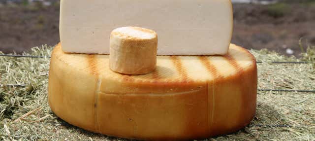 Montesdeoca Cheese Factory Tour