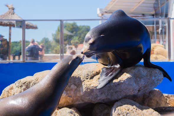 Entrada a Marineland Mallorca