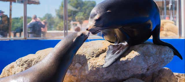 Marineland Mallorca Ticket