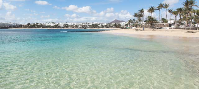 Discover Scuba Diving Experience