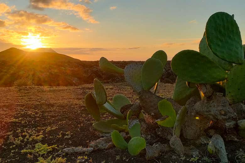 Coucher de soleil dans le parc naturel de Los Volcanes