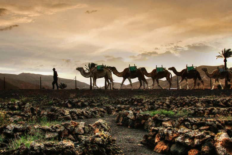 Tour fotográfico por el sur de Lanzarote