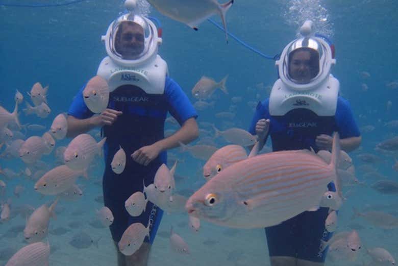 Disfrutando del sea trek