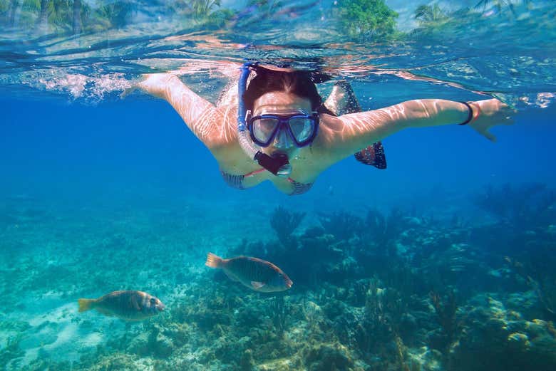 Explorando los fondos marinos de Lanzarote