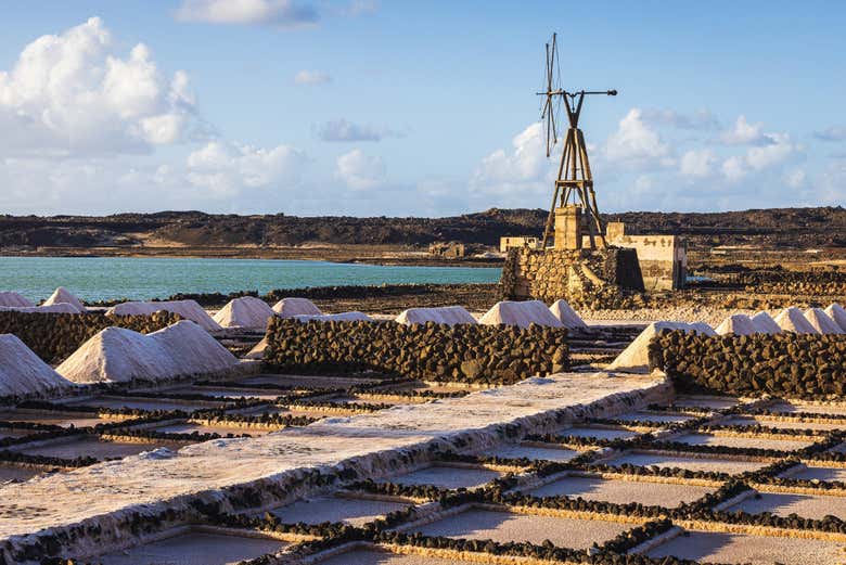 Salinas de Janubio
