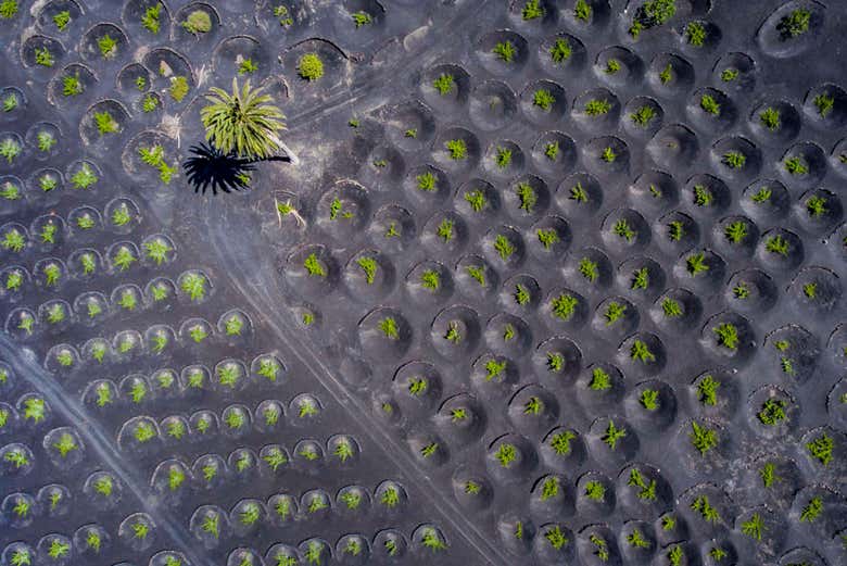 Fotografías del sur de Lanzarote