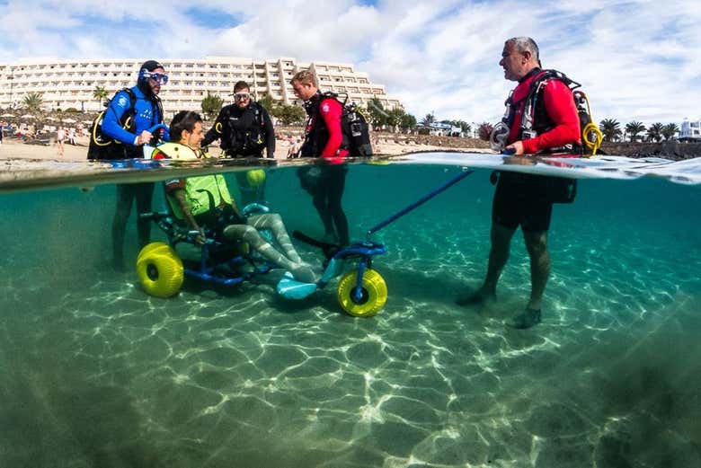 Sea trek adaptado