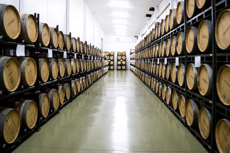 Sala delle botti della cantina Valdelosfrailes