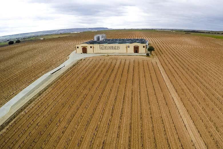 Colture della cantina Valdelosfrailes