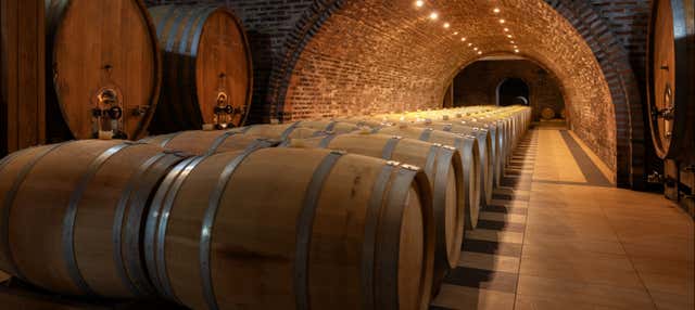 Visita a las bodegas Alfredo Santamaría