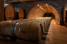 Visita a las bodegas Alfredo Santamaría