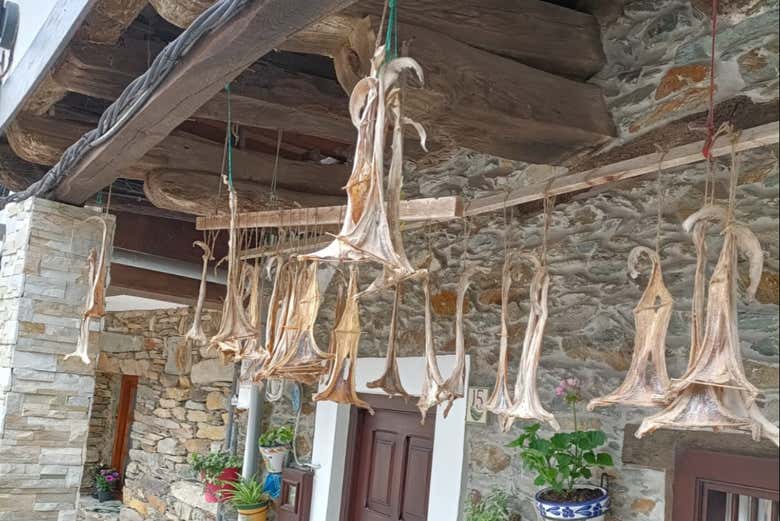 Decoración marinera de una casa en Cudillero