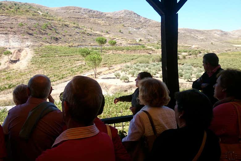 Recorriendo un viñedo en pleno corazón de La Mancha