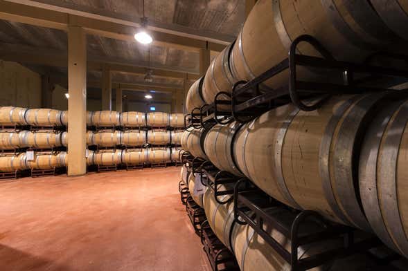 Tour de viñedos y bodegas por La Mancha