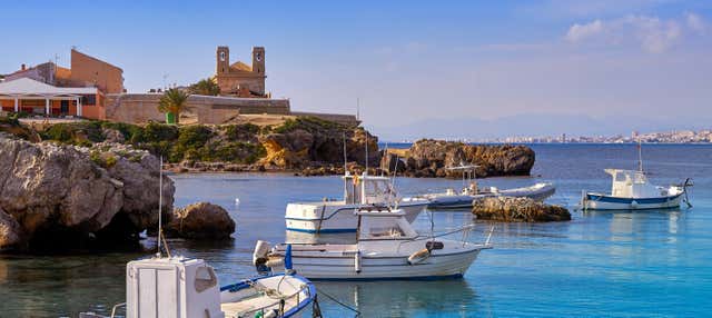 Excursión a la isla de Tabarca y el palmeral de Elche