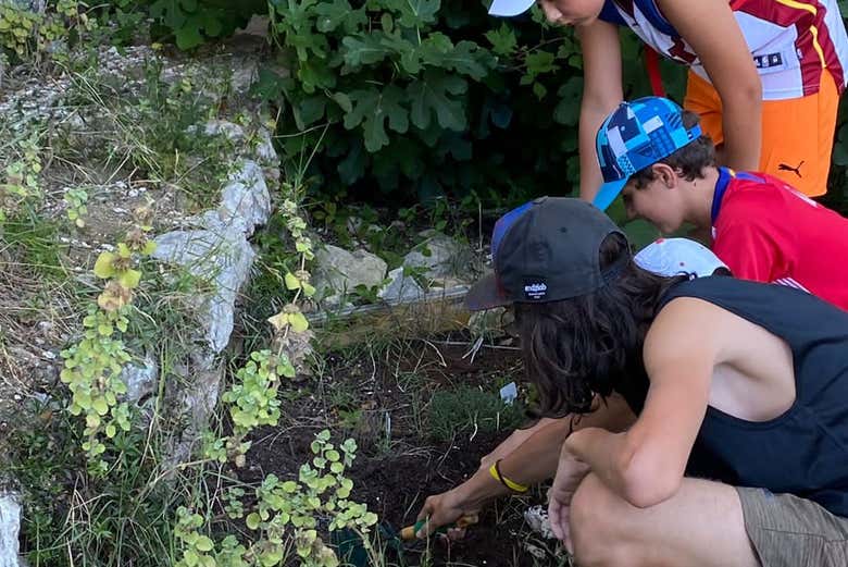 Plantando un árbol en Cullera