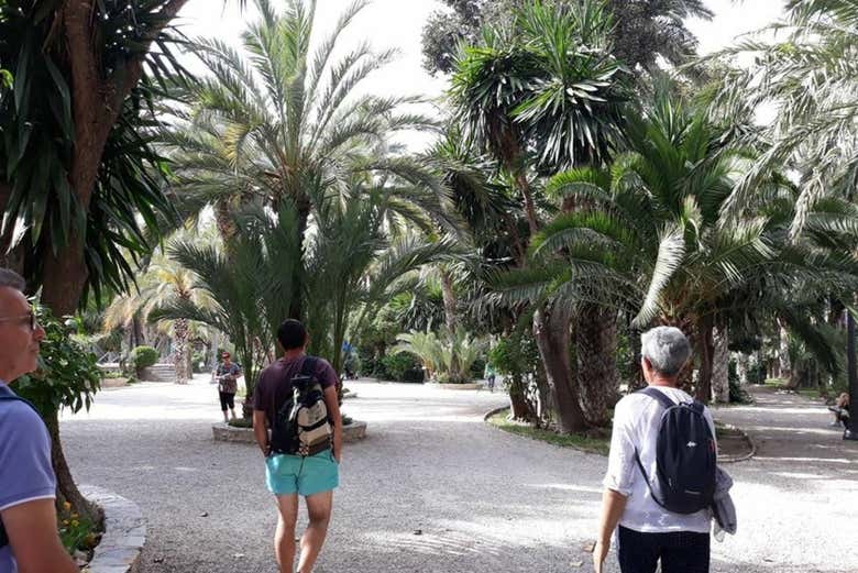 Paseando por el palmeral de Elche