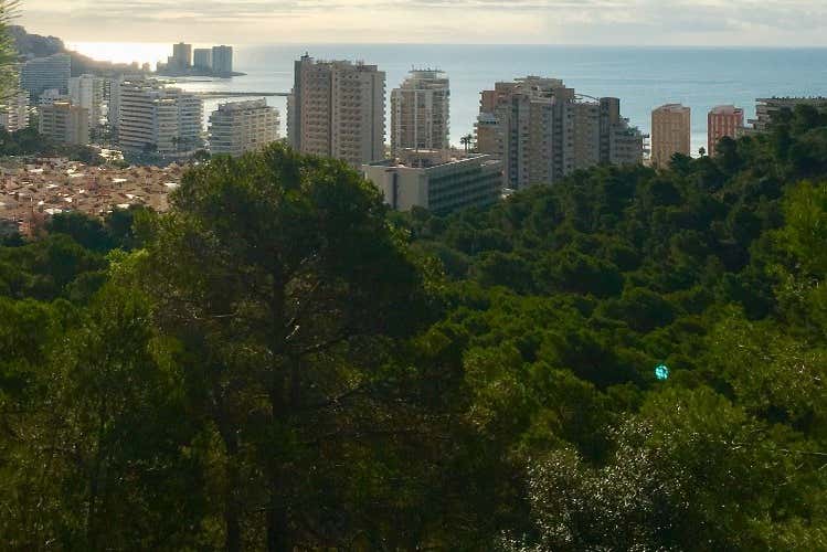 Durante la ruta de senderismo
