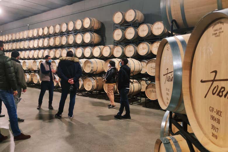 Exploring the facilities of Bodegas Tobía
