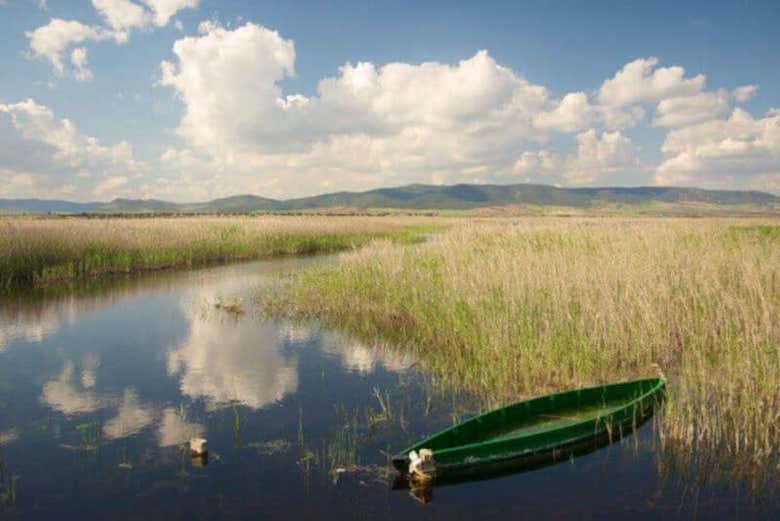 Laguna en las Tablas de Daimiel