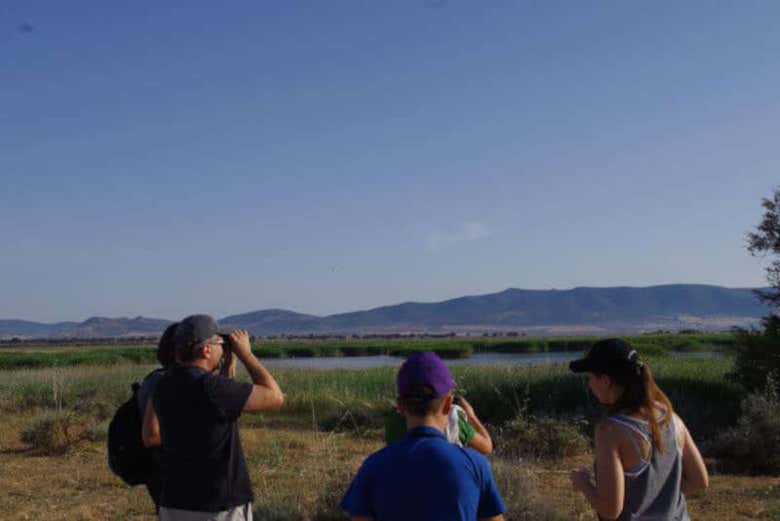 Avistando las aves de la zona
