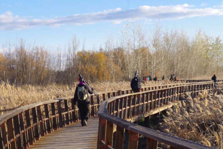 Paseando por las pasarelas