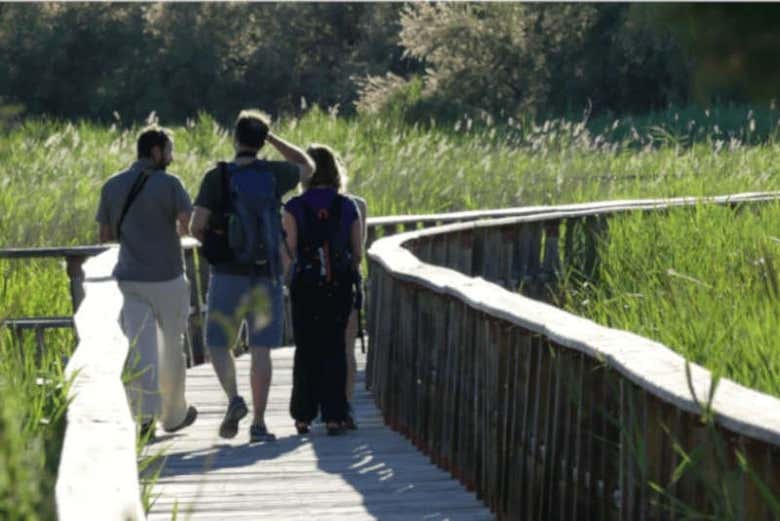 Excursión por las Tablas de Daimiel