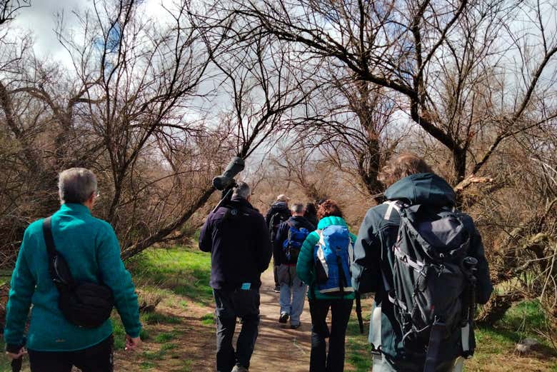Caminando por las Tablas de Daimiel
