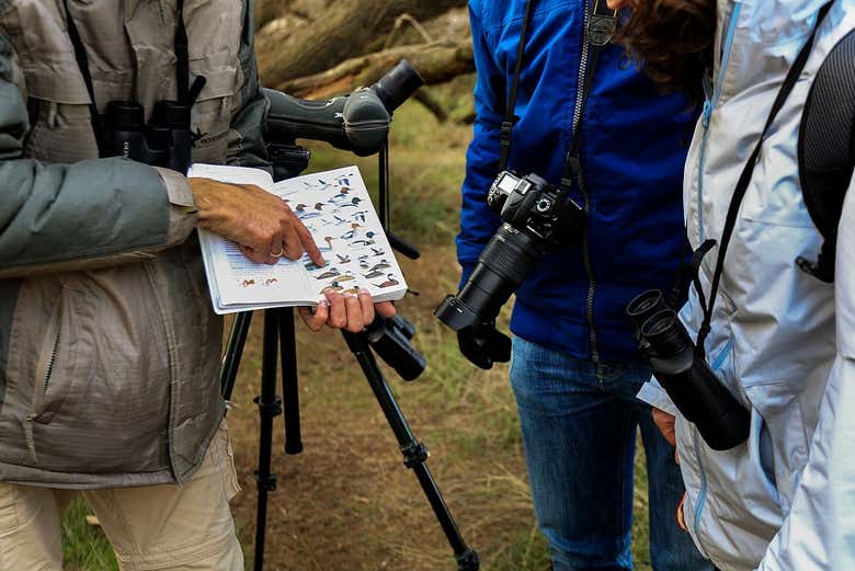 Découvrez les différentes espèces d'oiseaux du parc