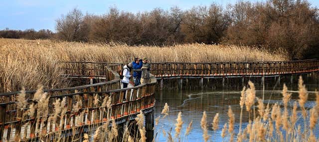 Tour panorámico y senderismo por las Tablas de Daimiel