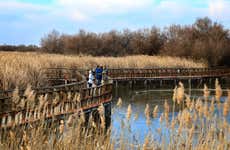 Tour panorámico y senderismo por las Tablas de Daimiel