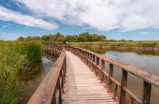 Tour por las Tablas de Daimiel y Laguna de Navaseca