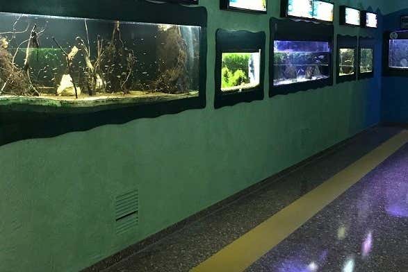 Acquario dell'Ecomuseo