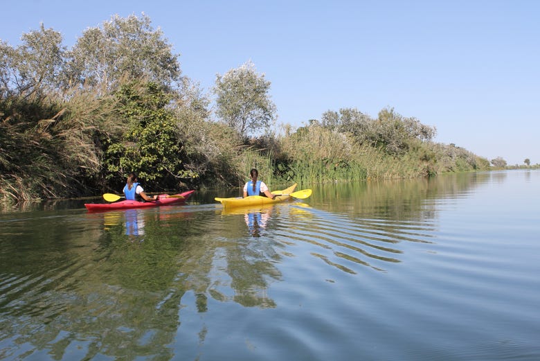 Remando sul Delta dell'Ebro