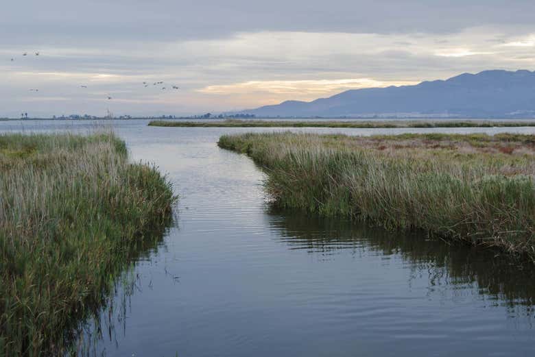 Paisajes del Delta del Ebro