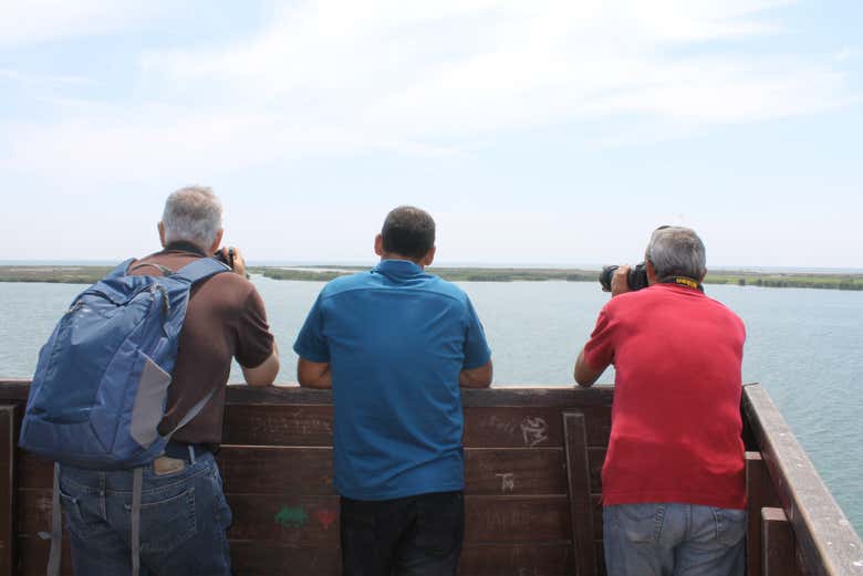 Baia del Fangar