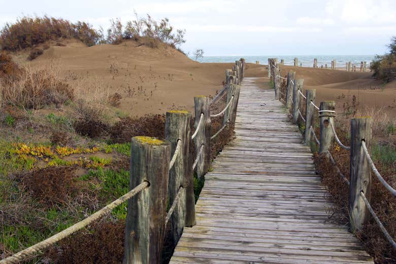Uma das passarelos do Delta do Ebro