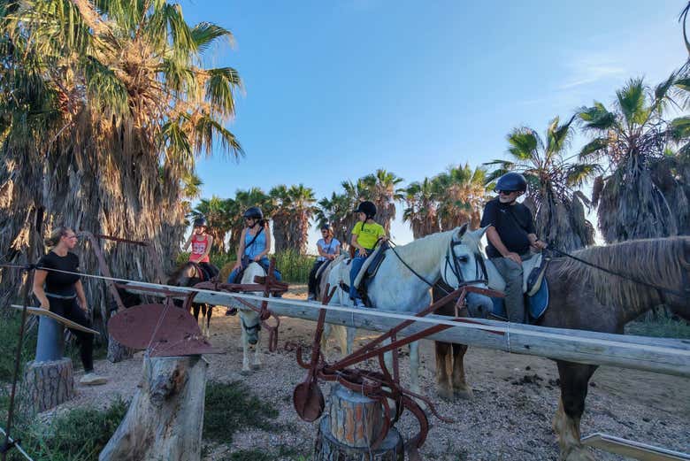 Cabalgando en grupo