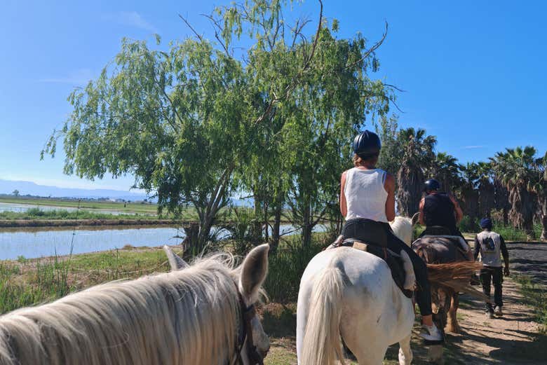 Cabalgando por el Delta del Ebro