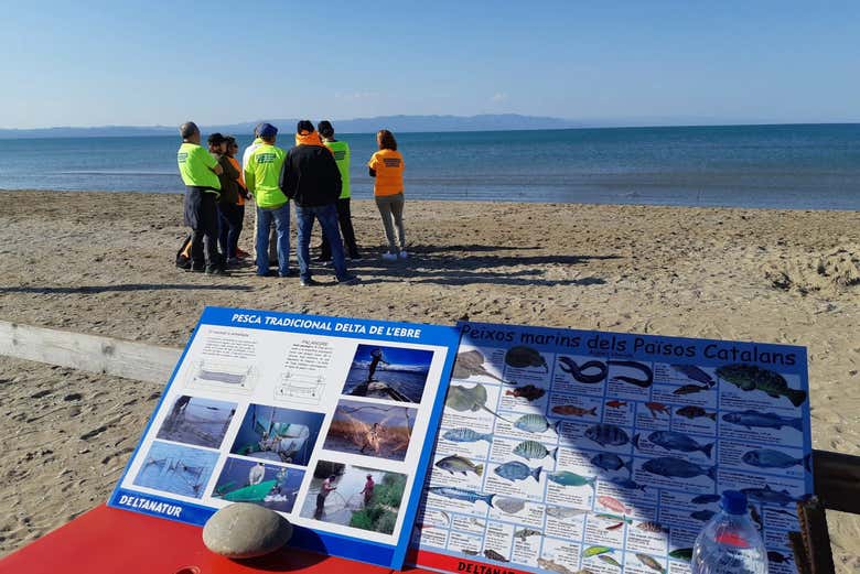 Learning about marine biology