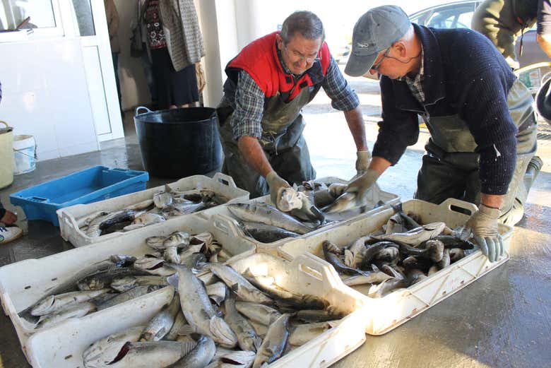 Pescadores en la playa