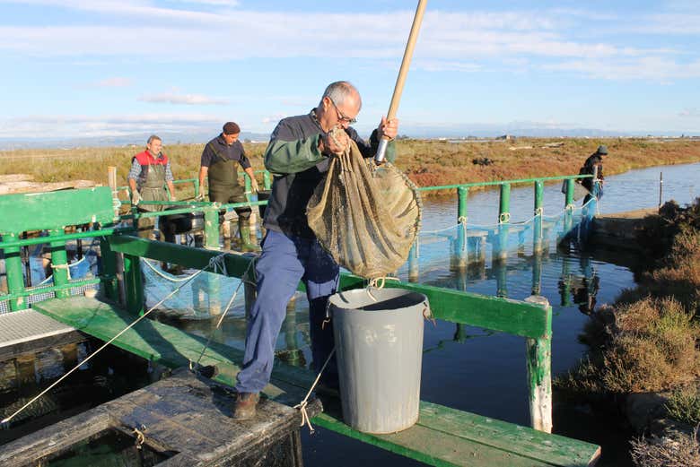 Pescatori sul Delta dell'Ebro