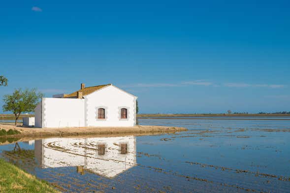 Paseo a caballo por el Delta del Ebro