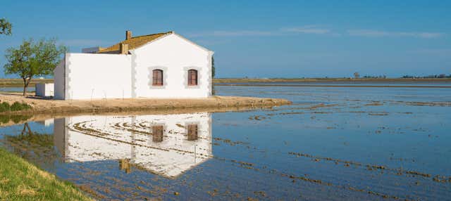 Paseo a caballo por el Delta del Ebro