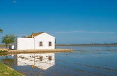 Ebro Delta Horse Riding Tour