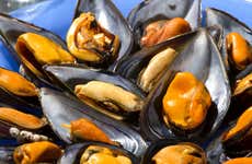 Taller de pesca de marisco en el Delta del Ebro + Degustación de mejillones