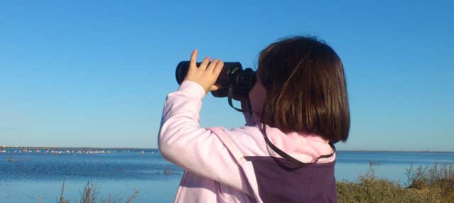 Tour por la bahía del Fangar