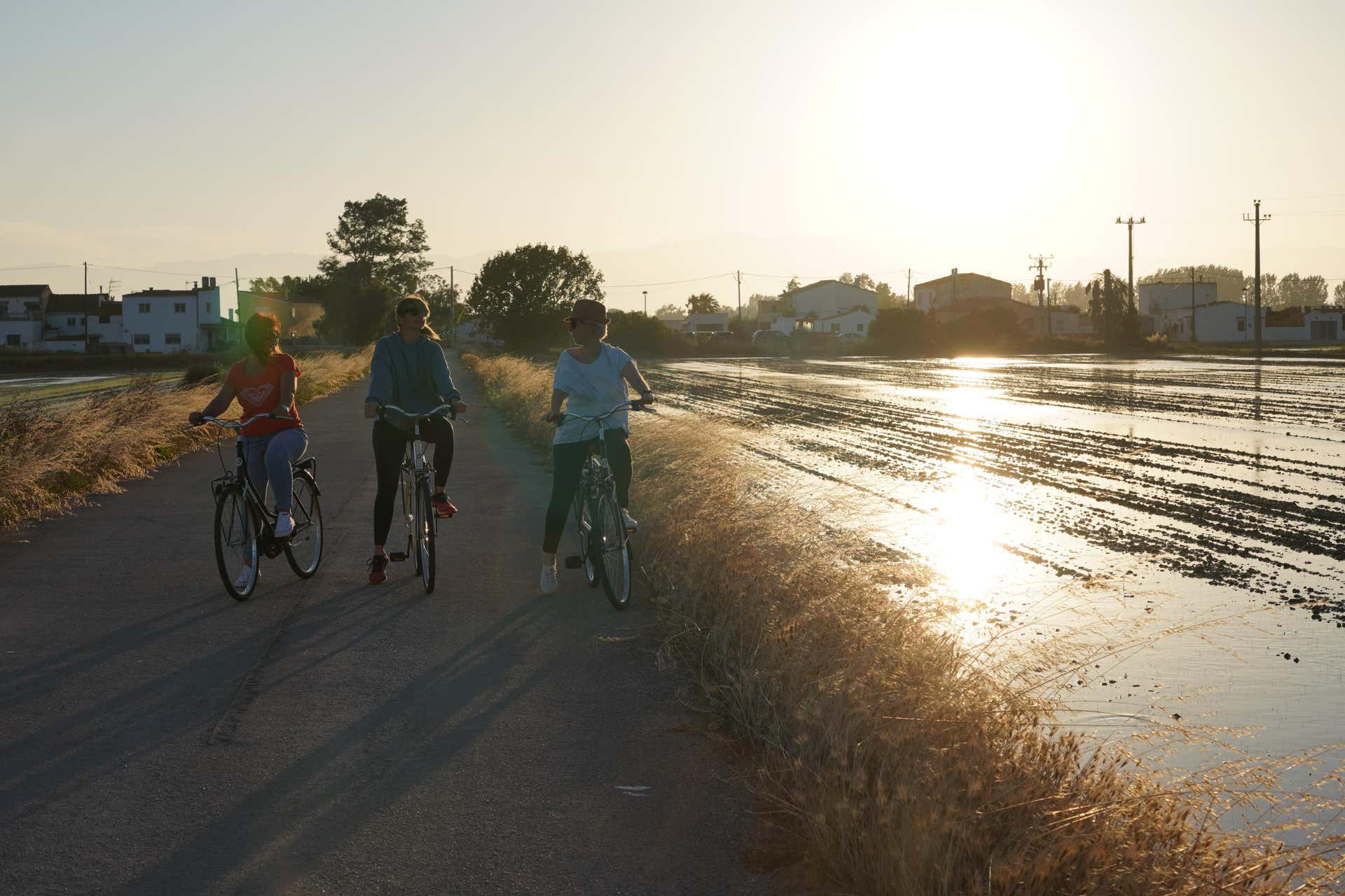 Tour en bicicleta por el Delta del Ebro